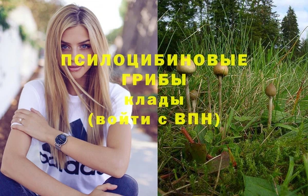 бошки Алзамай