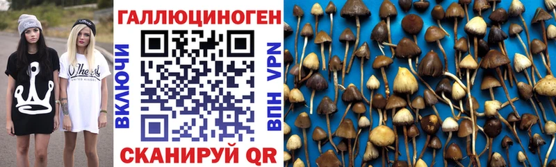 Псилоцибиновые грибы GOLDEN TEACHER  мега как войти  Ялта  купить наркотики цена 