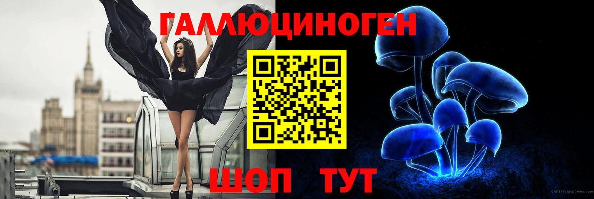 Ялта  Галлюциногенные грибы Psilocybe  Вход с VPN 